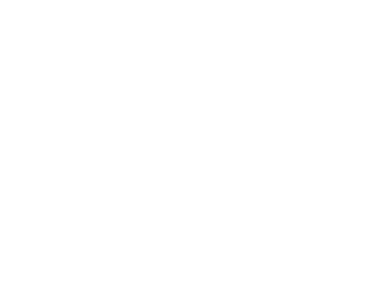 Layerneer